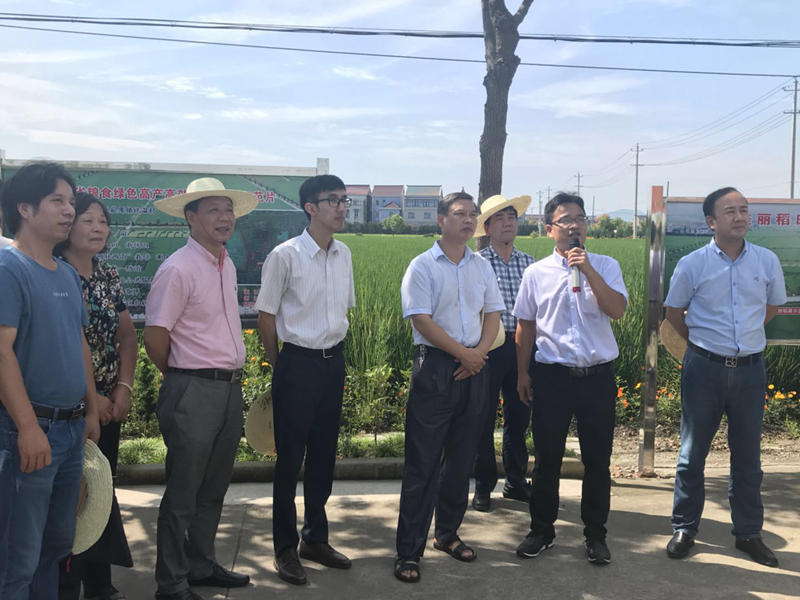 &ldquo;惠多利&rdquo;有機(jī)無(wú)機(jī)復(fù)混肥助力化肥減量增效