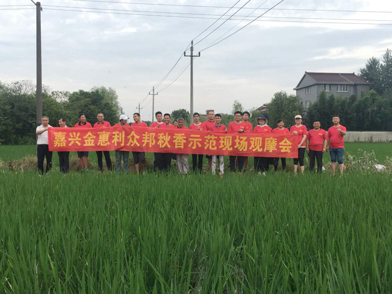 嘉興金惠利組織開(kāi)展&ldquo;秋香&rdquo;除草劑觀摩會(huì)