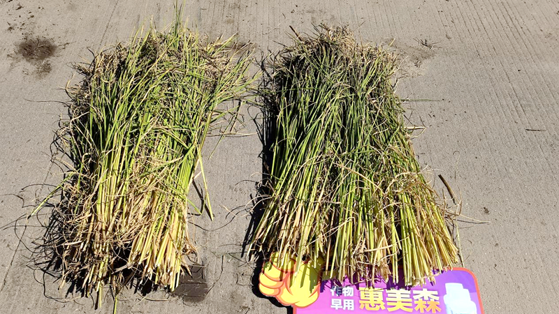 1666748760952318.png 鍥劇墖 4_副本.png