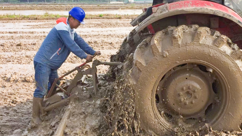 【匠心浙農(nóng)】 浙農(nóng)科技岱山項目負(fù)責(zé)人馬琨：把&ldquo;鹽堿田&rdquo;變&ldquo;致富田&rdquo;