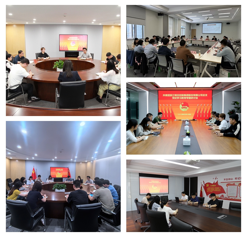 學(xué)黨紀(jì)&middot;揚(yáng)&ldquo;青&rdquo;風(fēng)丨集團(tuán)組織團(tuán)員青年開展專題學(xué)習(xí)活動