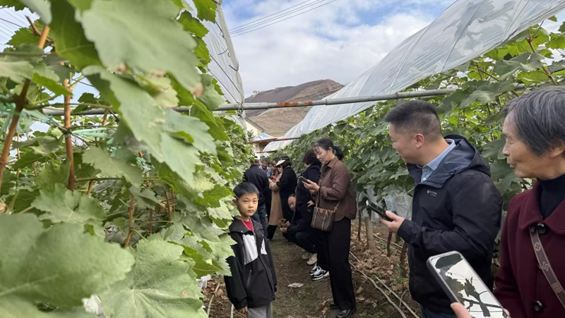 愛普科技組織開展農(nóng)業(yè)游學(xué)交流活動
